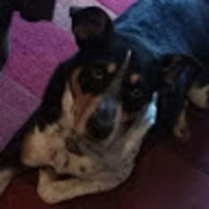 Meet your Posher, Gabrielle